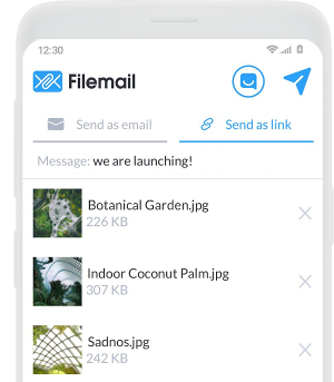 is filemail safe
